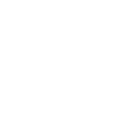 ce logo Wilmington