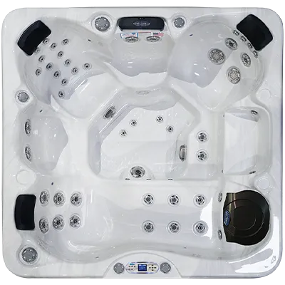 Avalon EC-849L hot tubs for sale in Wilmington