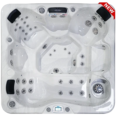 Avalon-X EC-849LX hot tubs for sale in Wilmington